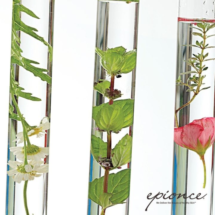 Glass tubes filled with water and plants